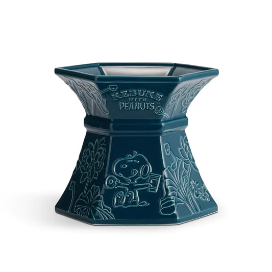 The Peanuts Snoopy Taiwan Kebuke Limited Pet Ceramics Bowl