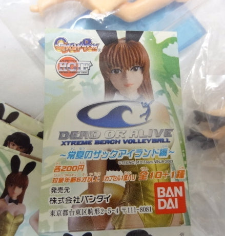 Bandai HG Dead Or Alive DOA Gashapon Xtreme Beach Volleyball Swimsuit Beach Bikini 10+1 Secret 11 Trading Figure Set