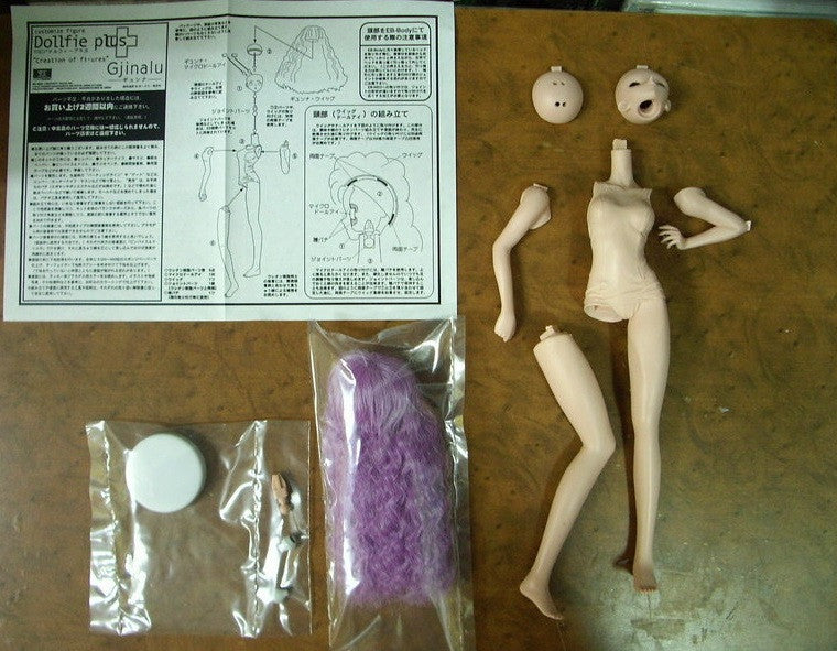 Volks 1/6 Dollfie Plus Creation Of Customize Gjinalu Cold Cast Model Kit Figure - Lavits Figure
 - 3