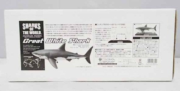 Colorata Shark Of The World Great White Shark Collection Statue Figure - Lavits Figure
 - 1