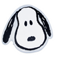 Peanuts Snoopy & Friends meets Arts Taiwan Cosmed Limited 120cm x 115cm Big Head Blanket