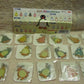 Yujin Pingu Penguin Gashapon 24th Anniversary 24 Mascot Swing Strap Figure Set