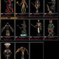Yanoman Demon's Chronicle Part IX 9 10+1 Secret Color 11 Chess Figure Set