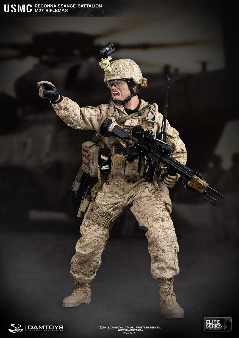 DamToys 1/6 12" Elite Series 78014 USMC Reconnaissance Battalion M27 Rifleman Action Figure - Lavits Figure
 - 1