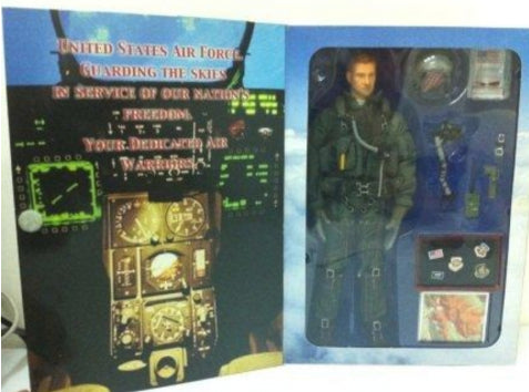 Hot Toys 1/6 12" U.S. Air Force Combat Aircrew Pilot Action Figure