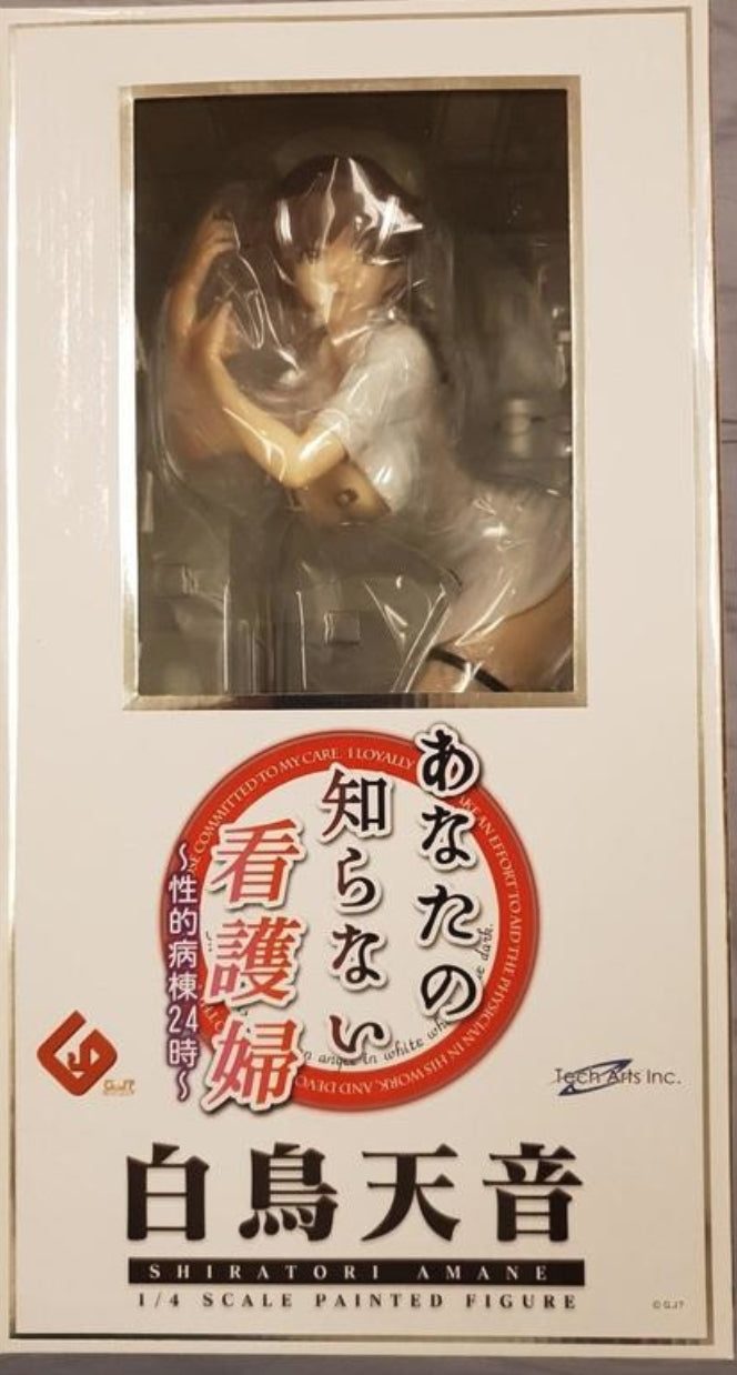 Freeing 1/4 The Nurse You Don't Know Shiratori Amane Pvc Figure