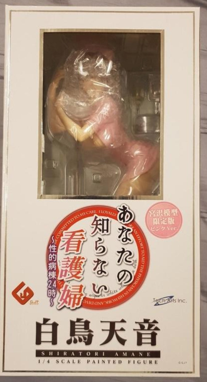 Freeing 1/4 The Nurse You Don't Know Shiratori Amane White & Pink 2 Pvc Figure Set