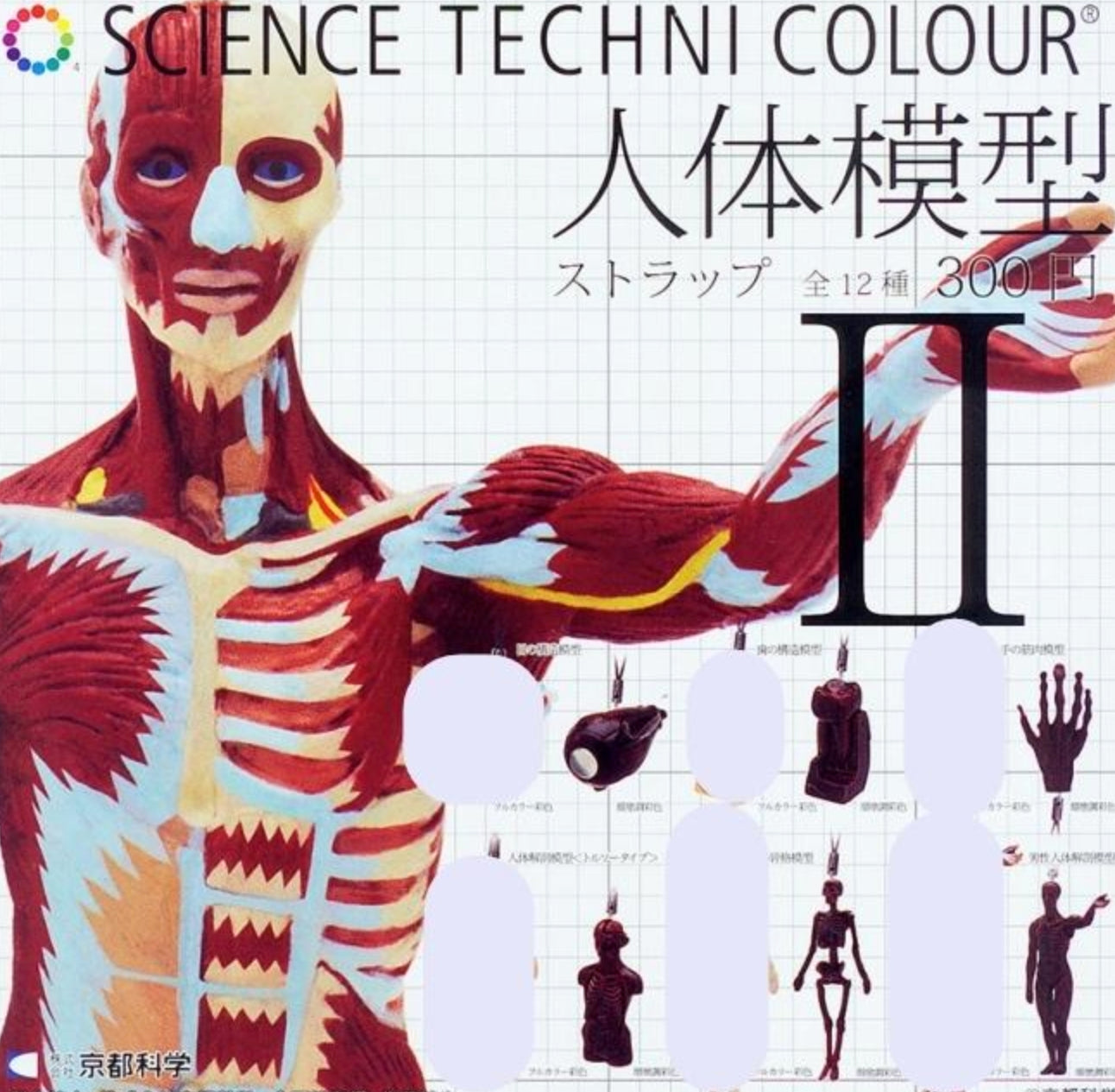 Kitan Club Science Techni Colour Human Anatomy Model Gashapon Part 2 6 Red ver Swing Strap Figure Set