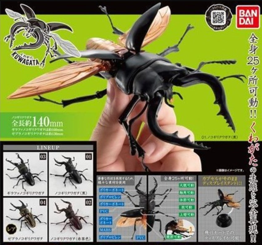 Bandai The Diversity of Life on Earth Gashapon Kuwagata Stag Beetle 4 Action Figure Set