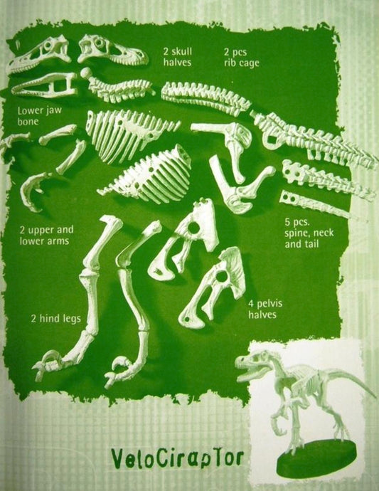 Mattel Walt Disney Dinosaur Velociraptor Skeleton GID Model Kit Figure