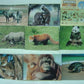 Bandai World Nature Animals Collection Asia Australia Ver. 17 Trading Figure Set - Lavits Figure
 - 2