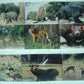 Bandai World Nature Animals Collection Asia Australia Ver. 17 Trading Figure Set - Lavits Figure
 - 3