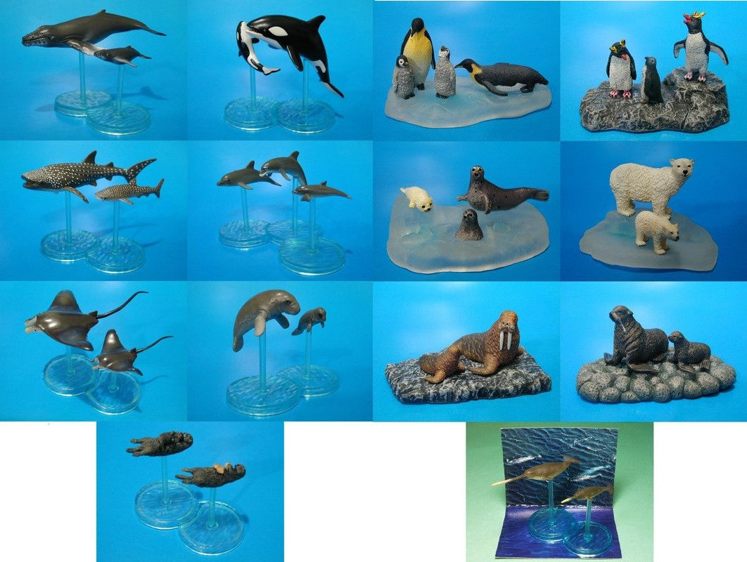 Bandai World Nature Animals Collection Ocean Sea Ver. 13+1 Secret 14 Trading Figure Set - Lavits Figure
 - 1