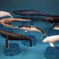Epoch Earth Life Journey Gashapon Whale & Dolphin 6+2 Secret 8 Trading Figure Set - Lavits Figure
 - 1