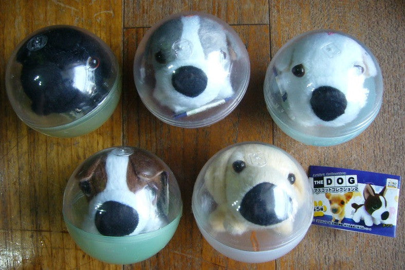 Koro Koro Strange Ratio Classic The Dog Artlist Collection