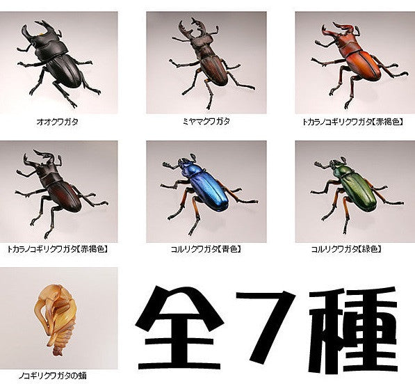 Kaiyodo Capsule Q Museum Gashapon Japanese Stag Beetle 7 Mini Trading Figure Set - Lavits Figure
 - 2