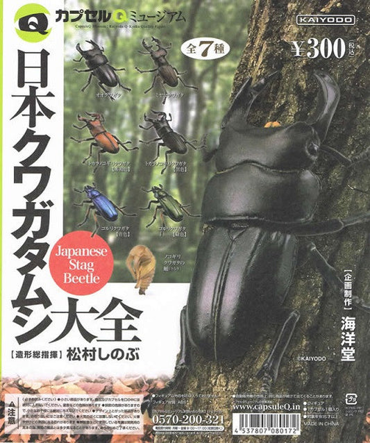 Kaiyodo Capsule Q Museum Gashapon Japanese Stag Beetle 7 Mini Trading Figure Set - Lavits Figure
 - 1
