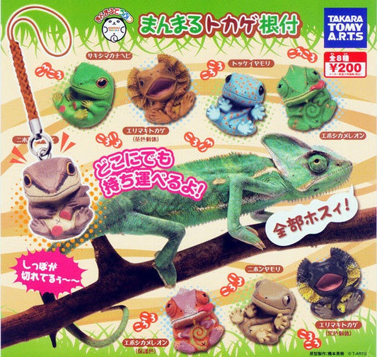 Takara Tomy Cute Animal Gashapon Lizard 8 Mascot Strap Trading Collection Figure Set - Lavits Figure

