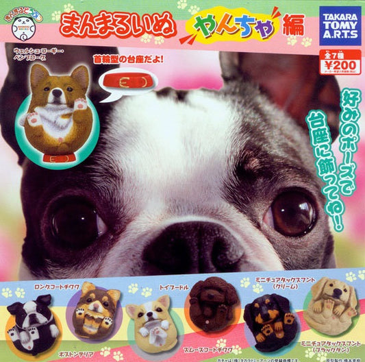 Takara Tomy Cute Animal Gashapon Dog Naughty Ver 7 Mini Trading Figure Set - Lavits Figure
