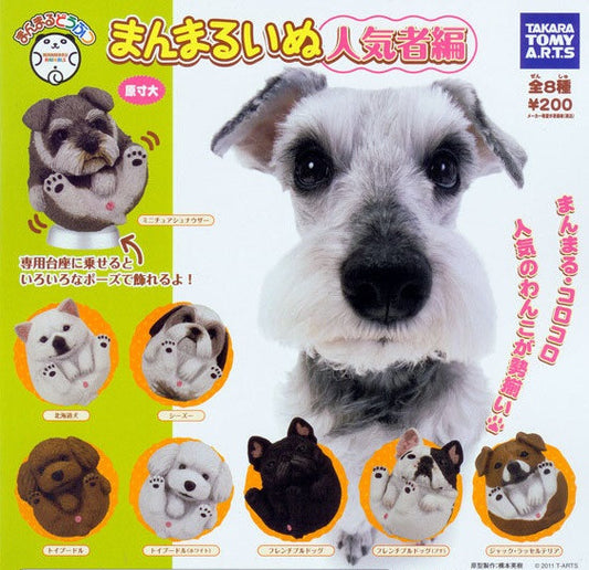 Takara Tomy Cute Animal Gashapon Dog Popular Ver 8 Mini Trading Figure Set - Lavits Figure
