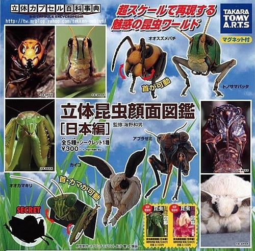 Takara Tomy 3-D Capsule Encyclopedia Gashapon Insect Face Japan Ver 5+1 Secret 6 Figure Set