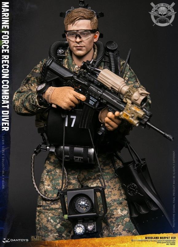 DamToys 1/6 12" Elite Series 78055 Marine Force Recon Combat Diver Action Figure