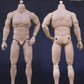 Kaustic Plastik 12" 1/6 KP02B Heroik Muscle Body Headsculpt ver Caucasian Action Figure