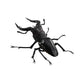 Bandai The Diversity of Life on Earth Gashapon Kuwagata Stag Beetle 4 Action Figure Set