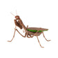 Bandai The Diversity of Life on Earth Gashapon Kamakiri Praying Mantis 5 Action Figure Set