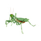 Bandai The Diversity of Life on Earth Gashapon Kamakiri Praying Mantis 5 Action Figure Set