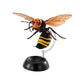 Bandai The Diversity of Life on Earth Gashapon Suzumebachi Hornet Wasp Part 2 4 Collection Figure Set