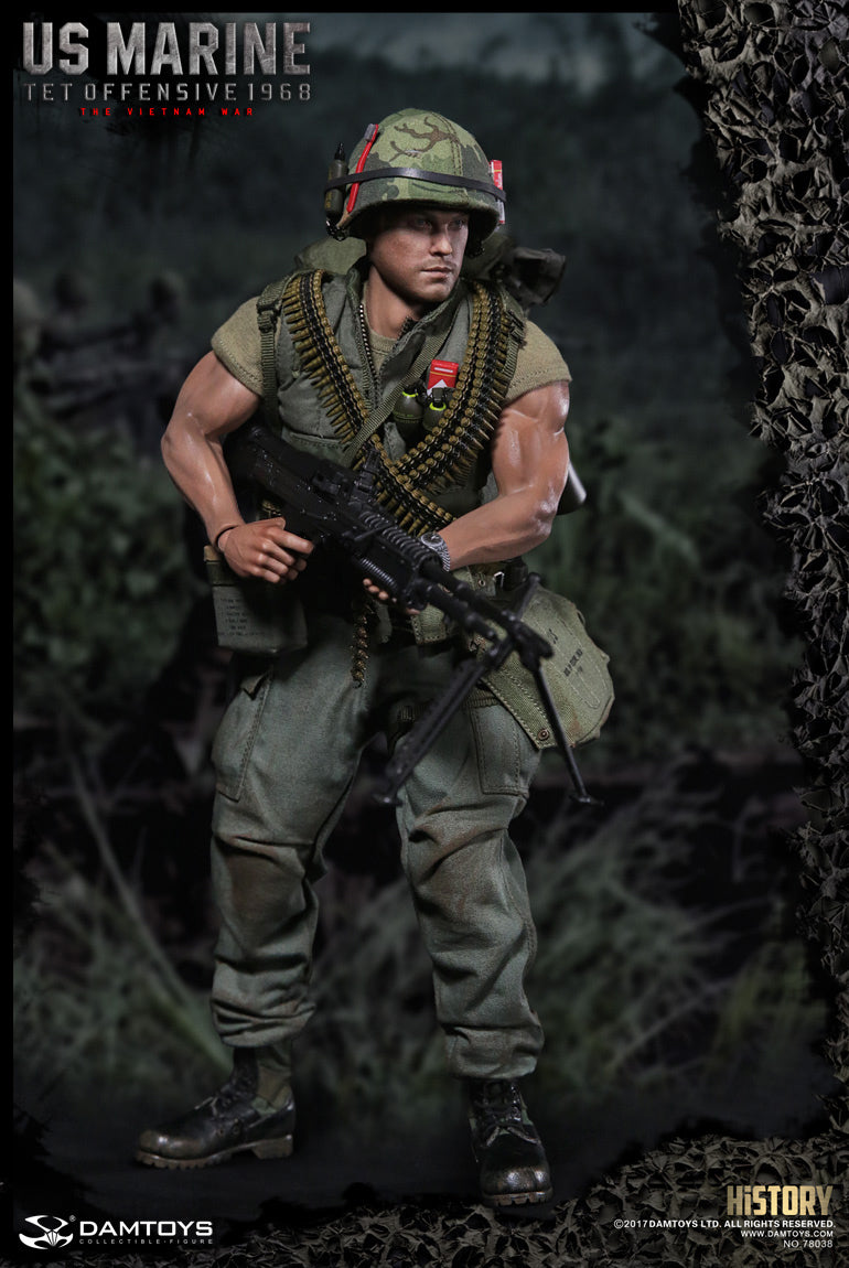 DamToys 1/6 12" 78038 Tet Offensive 1968 The Vietnam War Action Figure