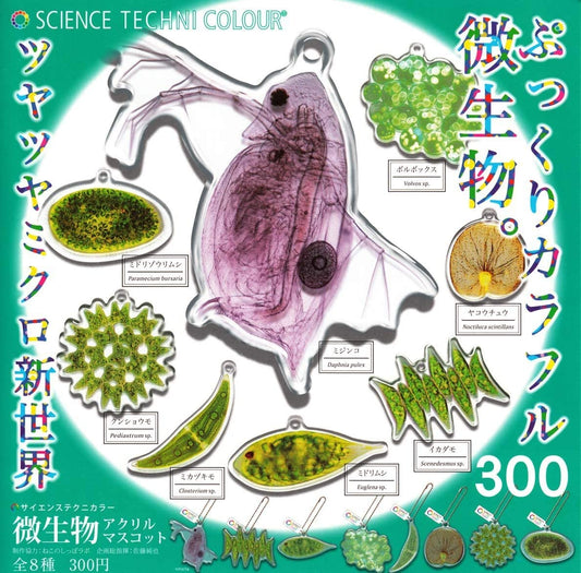Ikimon Science Techni Colour Gashapon Transparent Microorganisms Acrylic Mascot Strap 8 Collection Figure Set