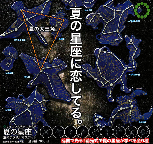 Ikimon Science Techni Coluor Gashapon Summer Constellation GID Acrylic Mascot 9 Collection Figure Set