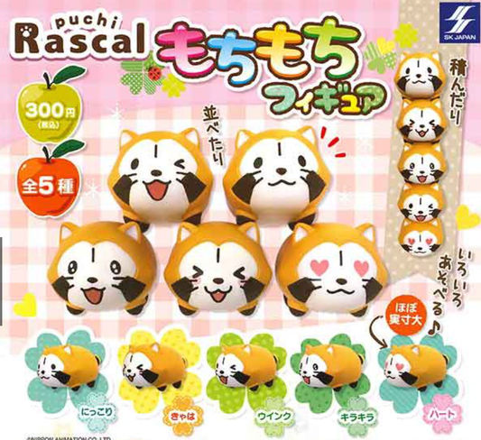 SK Japan Puchi Rascal The Raccoon Gashapon Mochi Mochi 5 Collection Figure Set