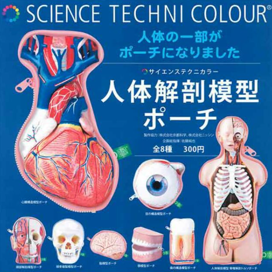 Ikimon Science Techni Colour Human Anatomy Model Gashapon 8 MIni Bag Figure Set