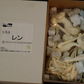 See Knack Peach-Pit 1/5.5 Dears Ren Limited Cold Cast Model Kit Figure