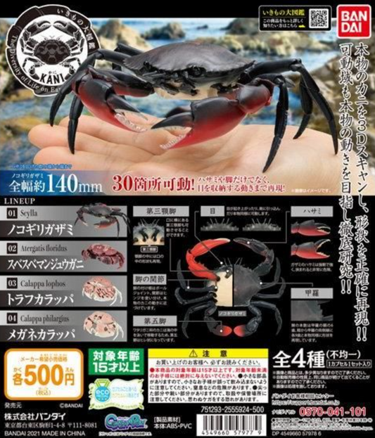 Bandai The Diversity of Life on Earth Gashapon Kani Crab 4 Action Figure Set