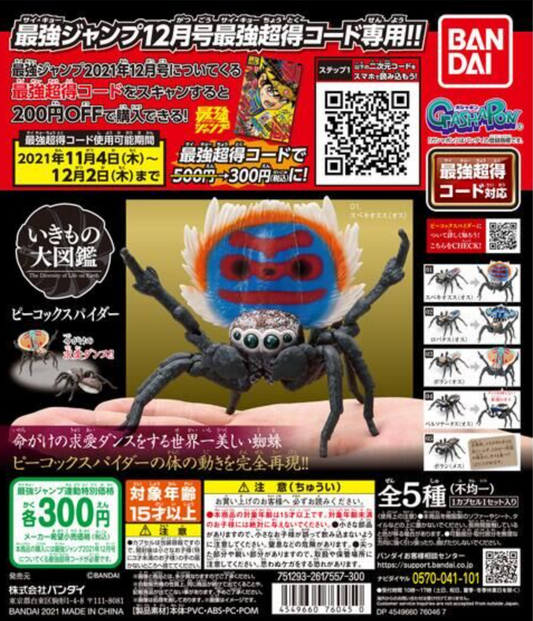 Bandai The Diversity of Life on Earth Gashapon Peacock Spider 5 Action Figure Set