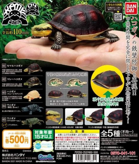 Bandai The Diversity of Life on Earth Gashapon Turtle Kame Part 04 5 Action Figure Set