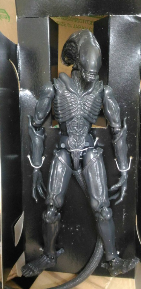 Medicom Toy Real Action Series Alien Grey ver Action Figure