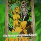 Kia Asamiya Michitaka Kikuchi Amazing Jungle Book w/ 1/8 Cold Cast Model Kit Figure - Lavits Figure
 - 2