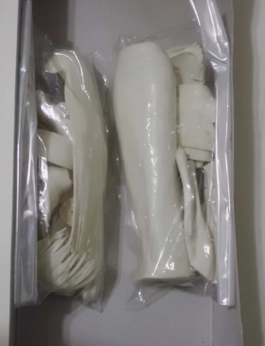 Sega Martian Successor Nadesico Hoshino Ruri Cold Cast Model Kit Figure - Lavits Figure
 - 1