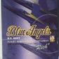 Dragon 1/6 12" New Generation Blue Angels U.S. Navy Flight Demonstration Squadron Rich Action Figure - Lavits Figure
 - 1