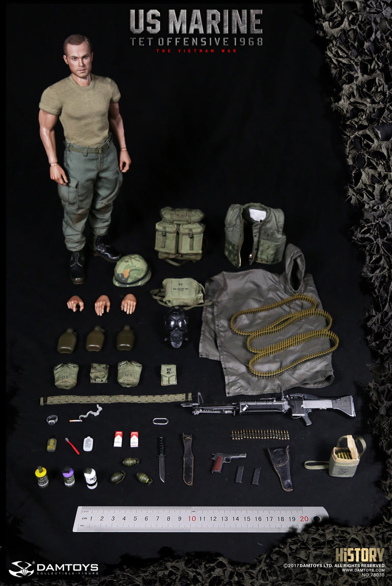 DamToys 1/6 12" 78038 Tet Offensive 1968 The Vietnam War Action Figure