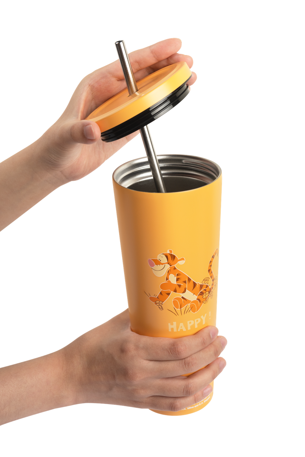 Disney Winnie The Pooh Tiggers Family Mart Taiwan Limited 750ml 304 Stainless Steel Cup w/ Straw Set Tigger ver