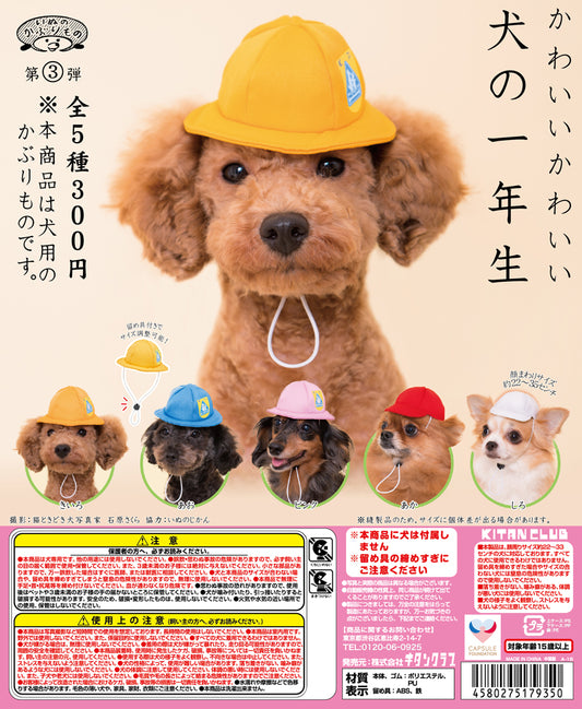 Kitan Club Gashapon Cute Dog Hat Headgear Part 3 First Grade 5 Colletion Figure Set